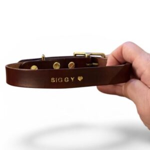 Custom leather dog leash