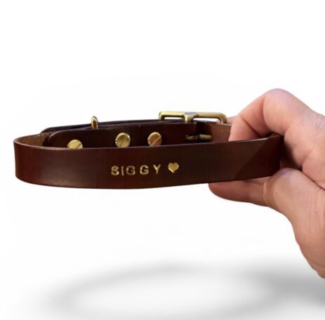 Custom leather dog leash