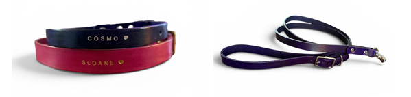 leash-and-collar